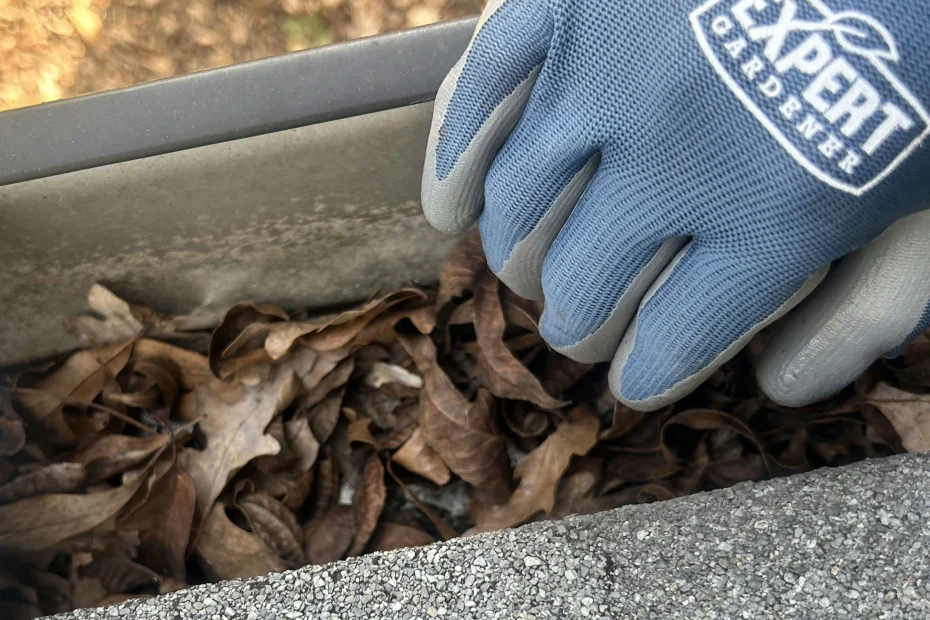 Gutter Cleaning North Palm Beach FL