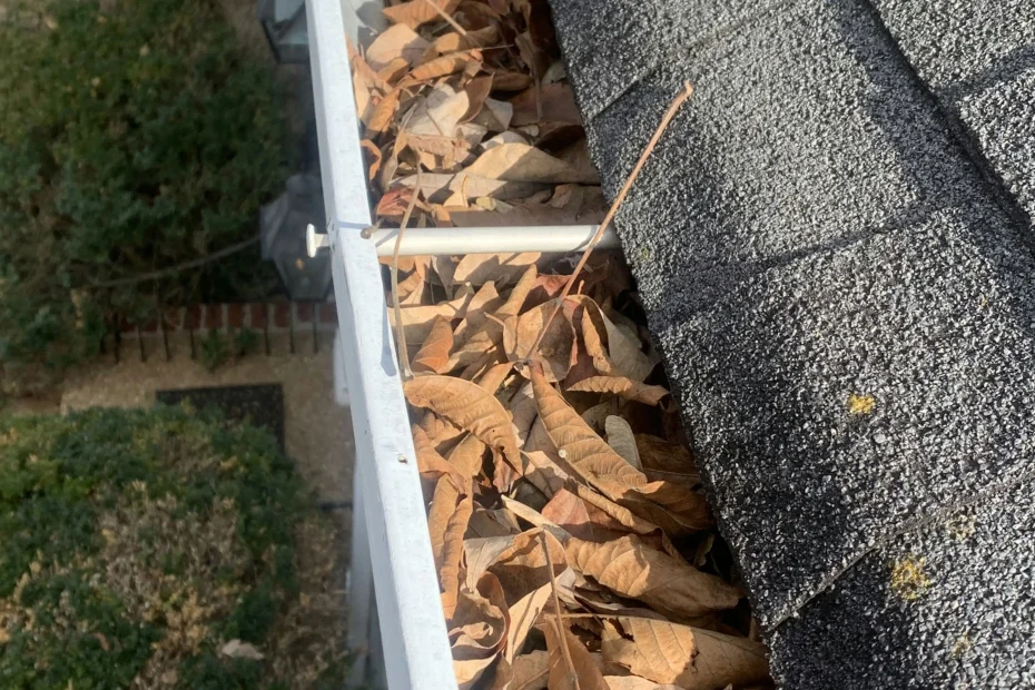 Gutter Cleaning North Palm Beach FL