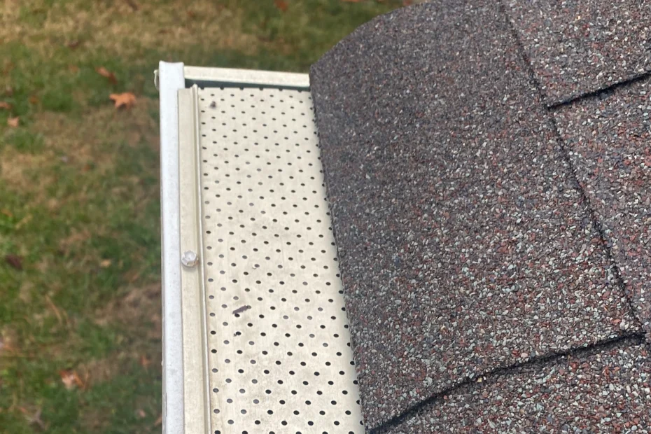 Gutter Cleaning North Palm Beach FL